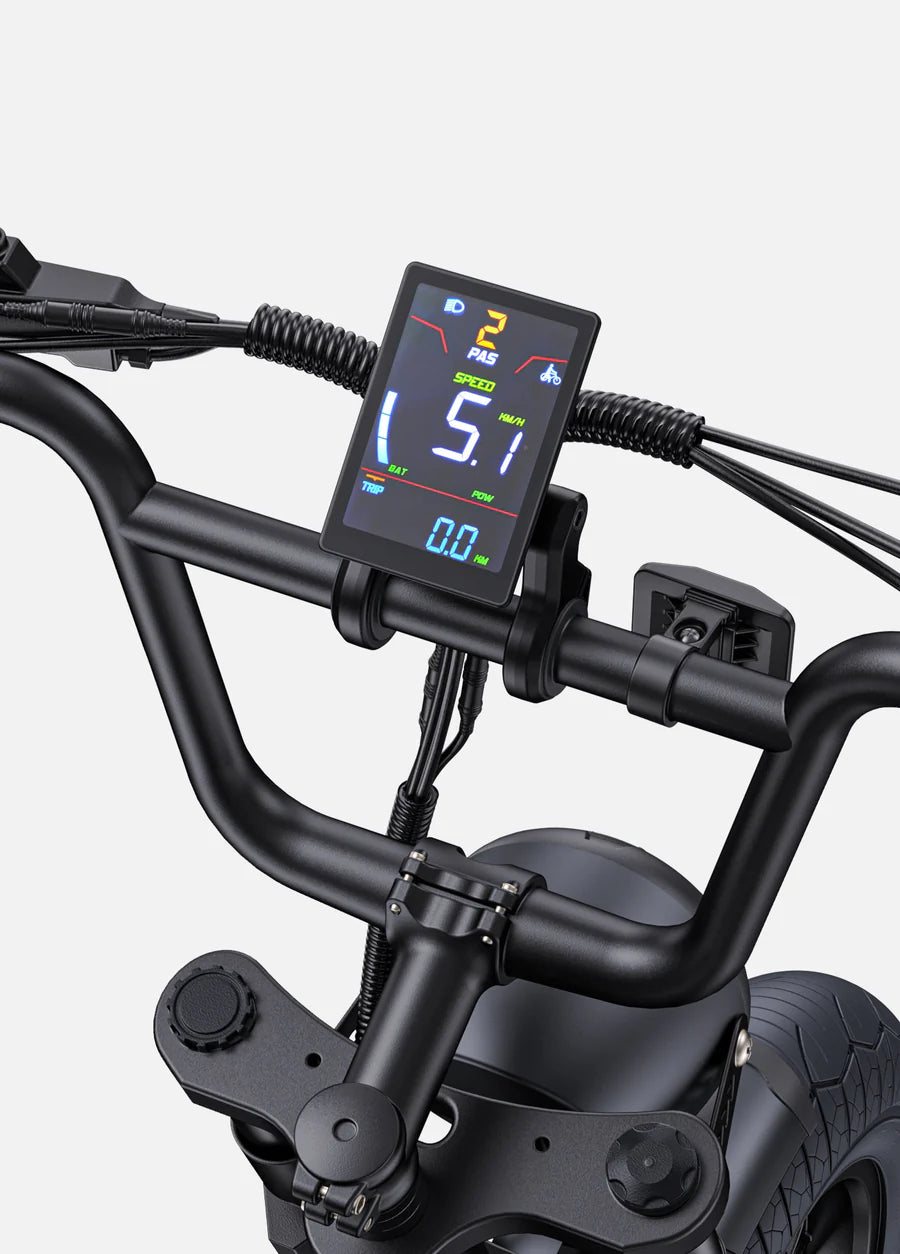 Elektrische fiets ENGWE M20, zwart, display op stuur